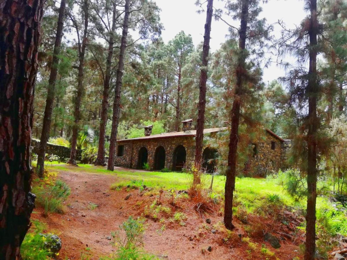 Monte Frio De Tenerife La Guancha Εξωτερικό φωτογραφία