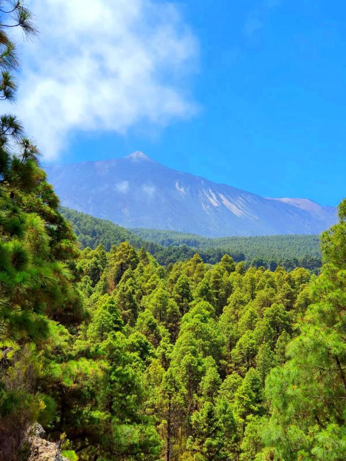 Monte Frio De Tenerife La Guancha Εξωτερικό φωτογραφία