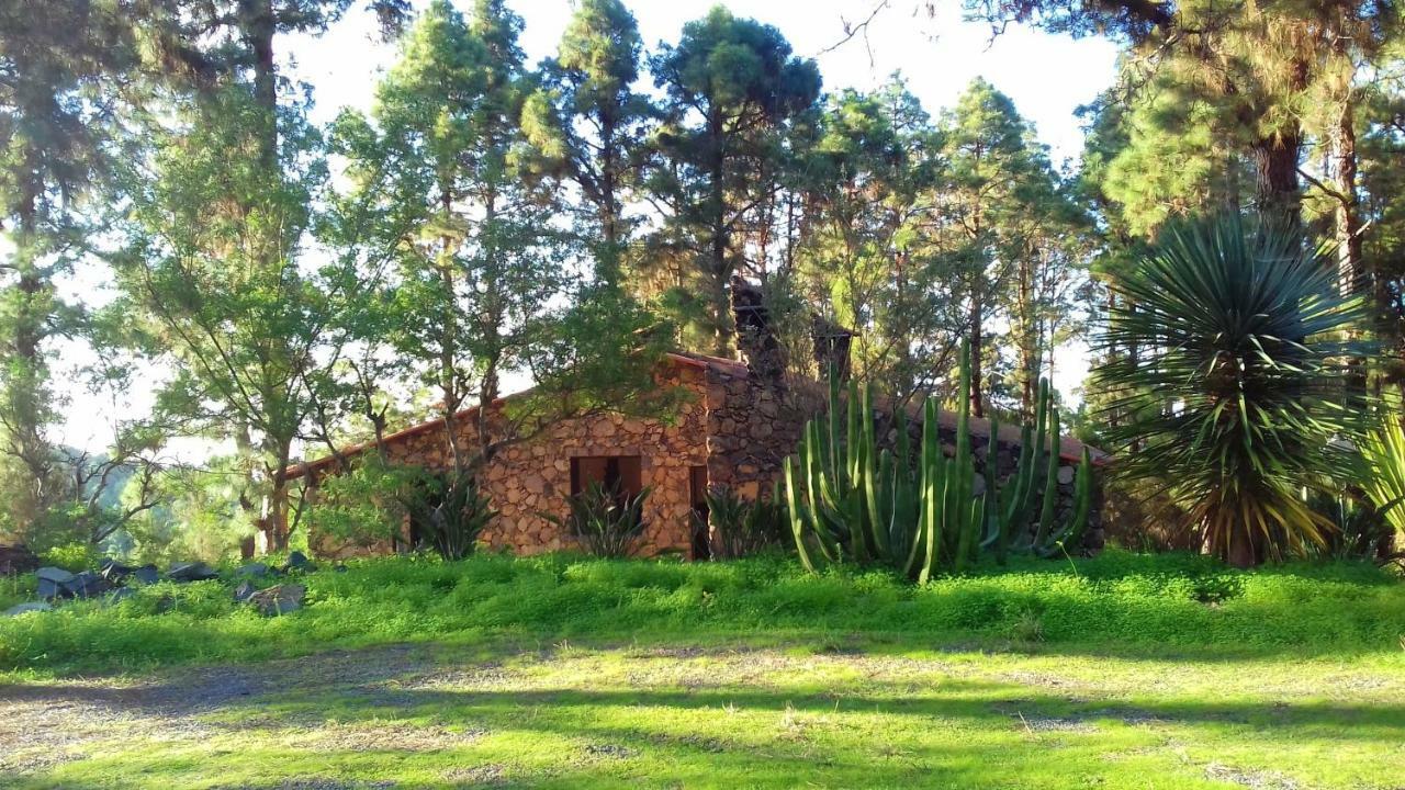 Monte Frio De Tenerife La Guancha Εξωτερικό φωτογραφία