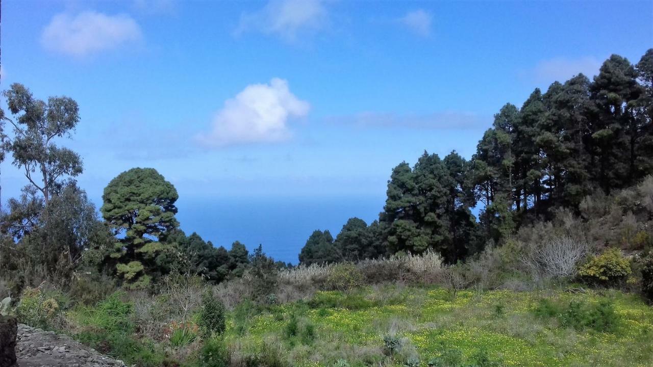 Monte Frio De Tenerife La Guancha Εξωτερικό φωτογραφία